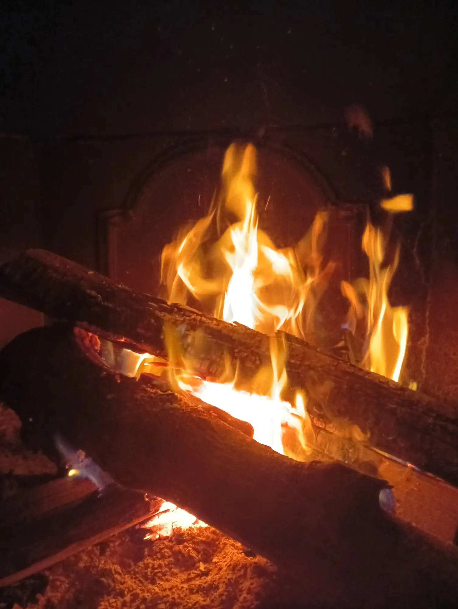 Il fuoco acceso nel camino della Sala Tappeti di Boves: due ceppi che bruciano